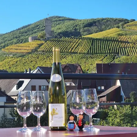 Gite Les Terrasses du Wineck Katzenthal Exterior foto
