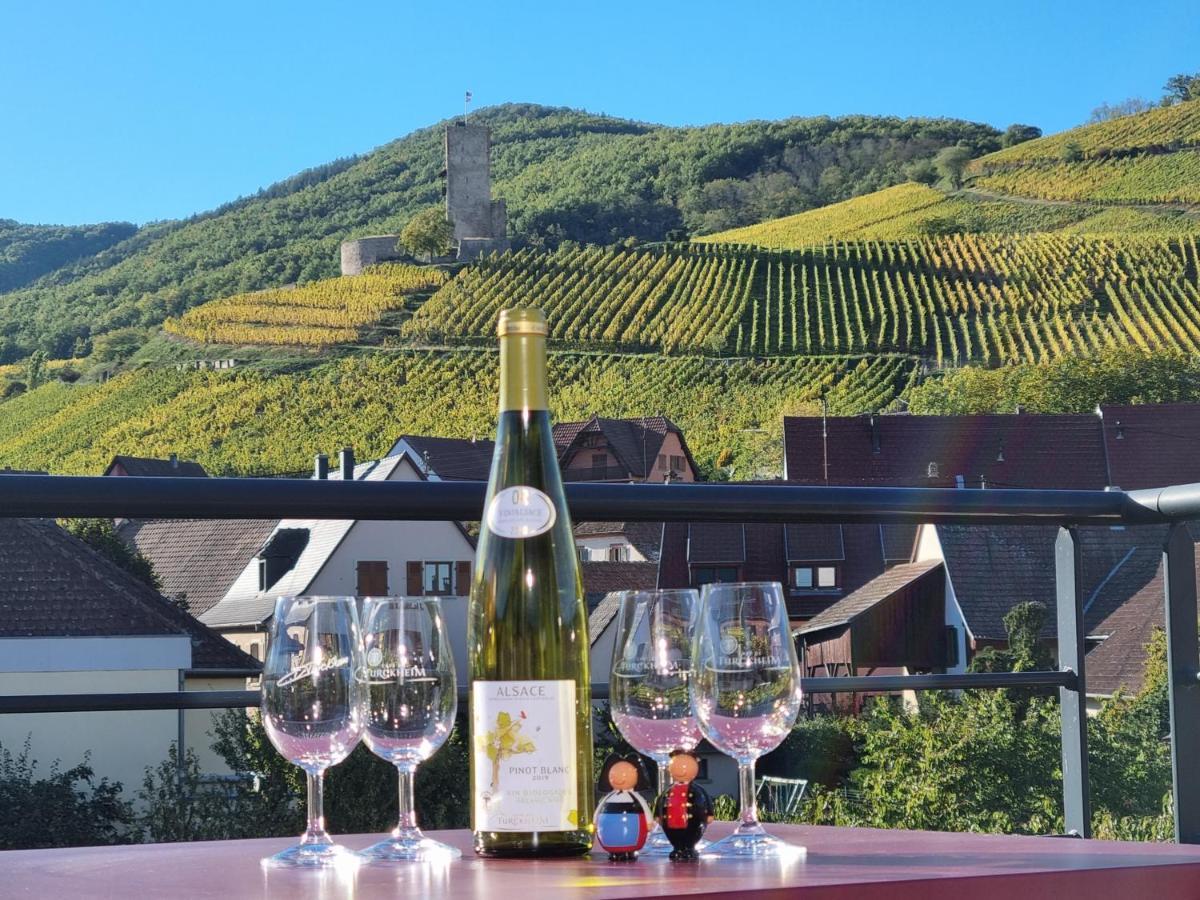 Les Terrasses Du Wineck