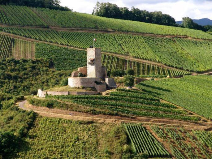Les Terrasses Du Wineck Ferienhaus